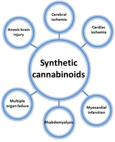 Medical Uses Of Cannabinoids